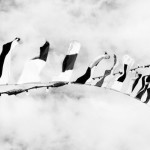 Banderas en Tiras | Banderas Publicitarias | Printaflex