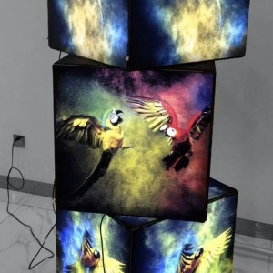 Cajas de luz | Printaflex