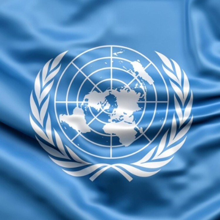 Bandera de la Organización de Naciones Unidas | Printaflex